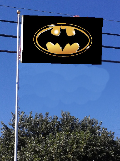 Batman Flag
