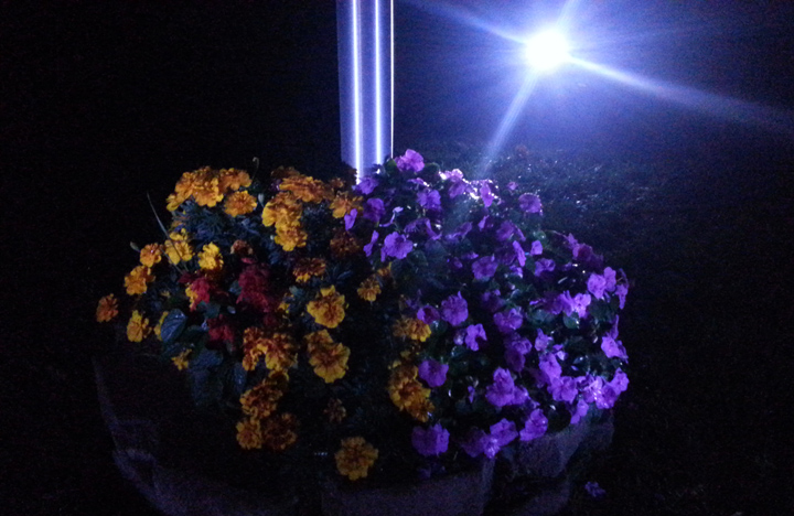 LED Solar Lighting