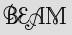 Security Captcha
