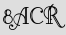 Security Captcha
